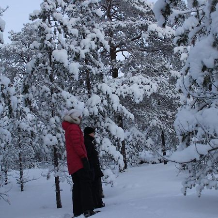 Studio Kaarto Rovaniemi Zewnętrze zdjęcie