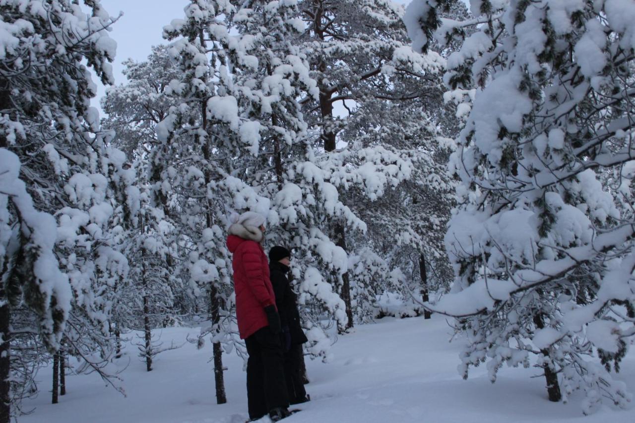 Studio Kaarto Rovaniemi Zewnętrze zdjęcie