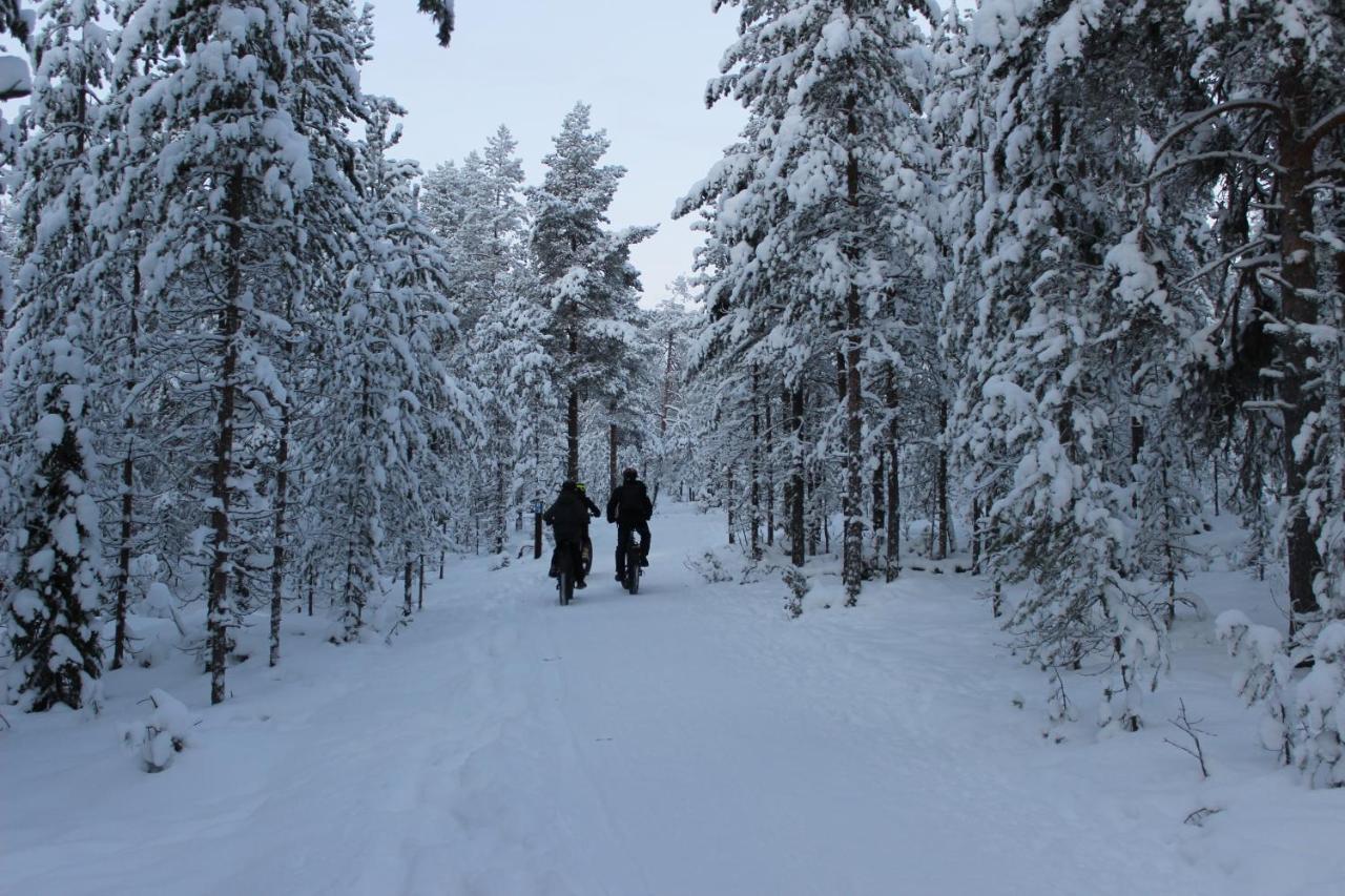 Studio Kaarto Rovaniemi Zewnętrze zdjęcie